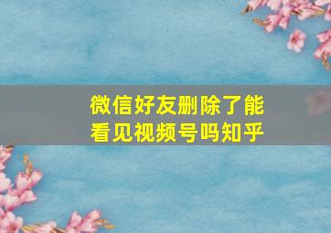 微信好友删除了能看见视频号吗知乎