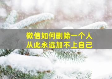 微信如何删除一个人从此永远加不上自己