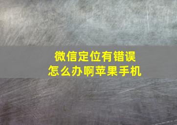 微信定位有错误怎么办啊苹果手机