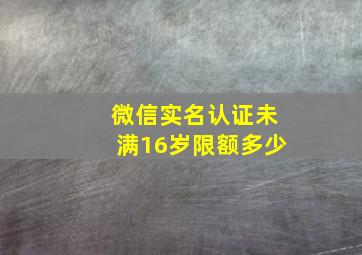 微信实名认证未满16岁限额多少