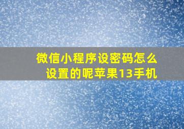 微信小程序设密码怎么设置的呢苹果13手机