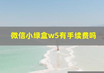 微信小绿盒w5有手续费吗