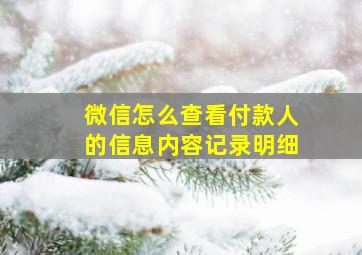 微信怎么查看付款人的信息内容记录明细