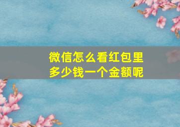 微信怎么看红包里多少钱一个金额呢