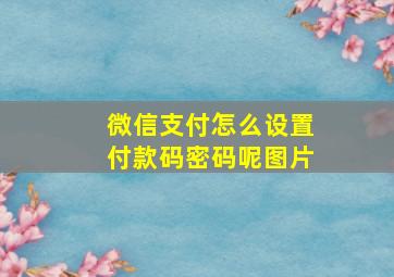 微信支付怎么设置付款码密码呢图片