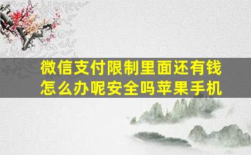 微信支付限制里面还有钱怎么办呢安全吗苹果手机