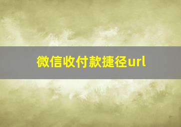 微信收付款捷径url