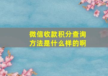 微信收款积分查询方法是什么样的啊