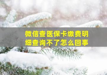 微信查医保卡缴费明细查询不了怎么回事