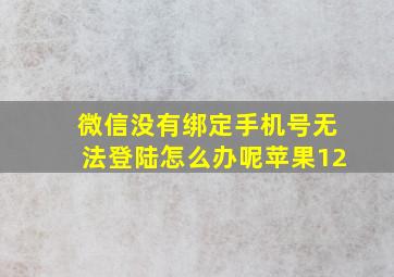 微信没有绑定手机号无法登陆怎么办呢苹果12