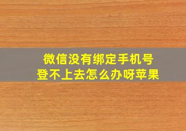 微信没有绑定手机号登不上去怎么办呀苹果