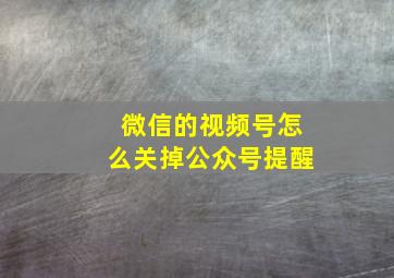 微信的视频号怎么关掉公众号提醒