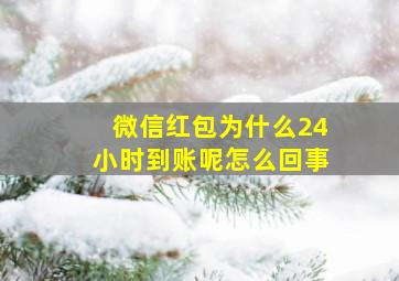 微信红包为什么24小时到账呢怎么回事