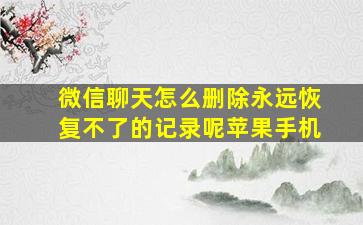 微信聊天怎么删除永远恢复不了的记录呢苹果手机