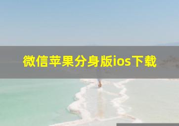 微信苹果分身版ios下载