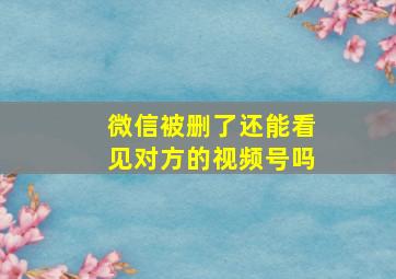 微信被删了还能看见对方的视频号吗