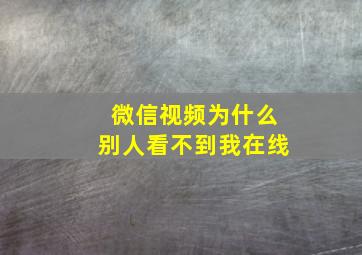 微信视频为什么别人看不到我在线