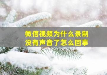 微信视频为什么录制没有声音了怎么回事