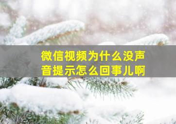 微信视频为什么没声音提示怎么回事儿啊