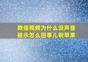 微信视频为什么没声音提示怎么回事儿啊苹果