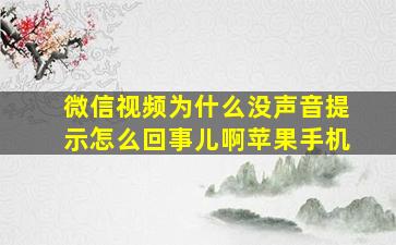 微信视频为什么没声音提示怎么回事儿啊苹果手机