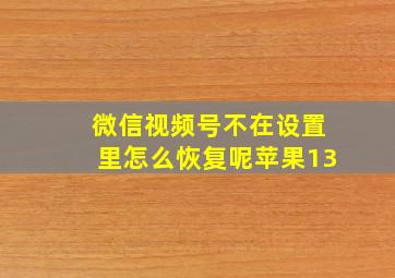 微信视频号不在设置里怎么恢复呢苹果13