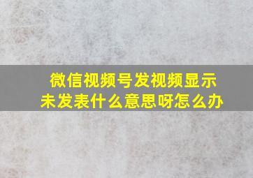 微信视频号发视频显示未发表什么意思呀怎么办