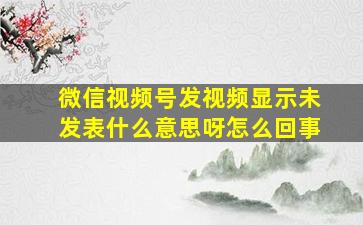 微信视频号发视频显示未发表什么意思呀怎么回事