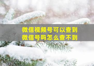 微信视频号可以查到微信号吗怎么查不到