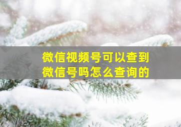 微信视频号可以查到微信号吗怎么查询的