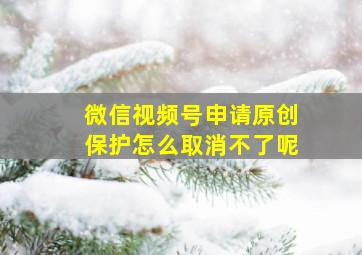 微信视频号申请原创保护怎么取消不了呢