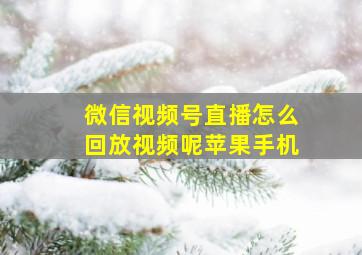 微信视频号直播怎么回放视频呢苹果手机