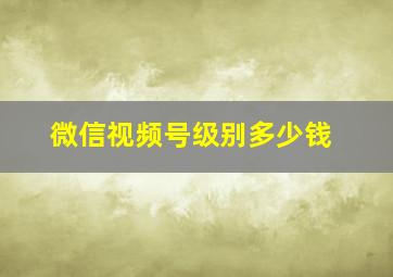 微信视频号级别多少钱