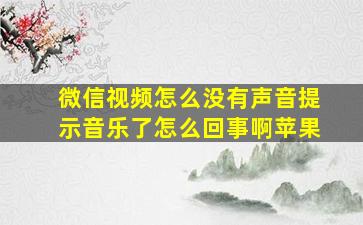 微信视频怎么没有声音提示音乐了怎么回事啊苹果