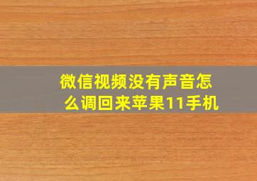 微信视频没有声音怎么调回来苹果11手机