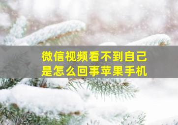 微信视频看不到自己是怎么回事苹果手机