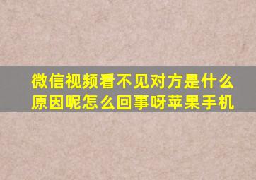 微信视频看不见对方是什么原因呢怎么回事呀苹果手机