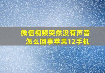 微信视频突然没有声音怎么回事苹果12手机