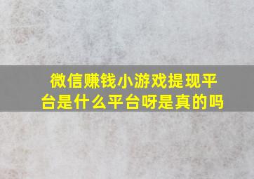 微信赚钱小游戏提现平台是什么平台呀是真的吗