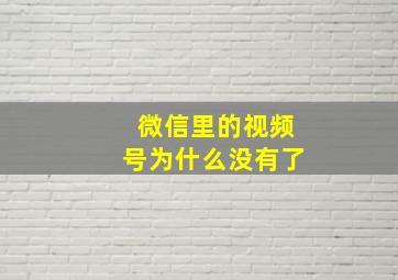 微信里的视频号为什么没有了