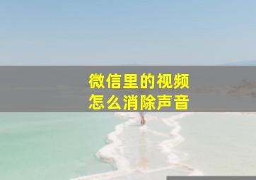 微信里的视频怎么消除声音