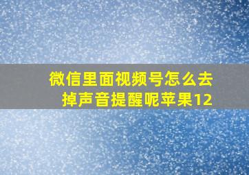 微信里面视频号怎么去掉声音提醒呢苹果12