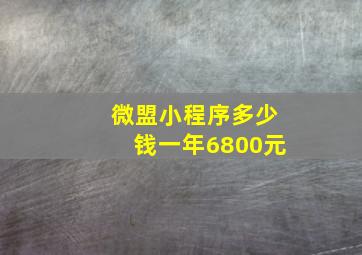 微盟小程序多少钱一年6800元