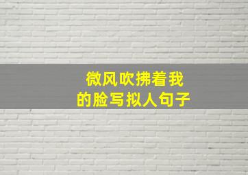 微风吹拂着我的脸写拟人句子