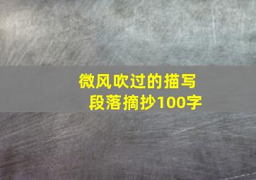 微风吹过的描写段落摘抄100字