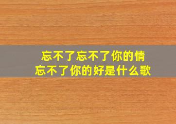 忘不了忘不了你的情忘不了你的好是什么歌