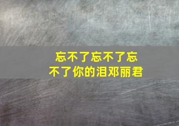 忘不了忘不了忘不了你的泪邓丽君