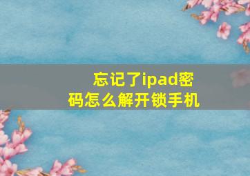 忘记了ipad密码怎么解开锁手机