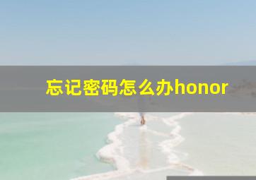 忘记密码怎么办honor