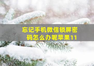 忘记手机微信锁屏密码怎么办呢苹果11